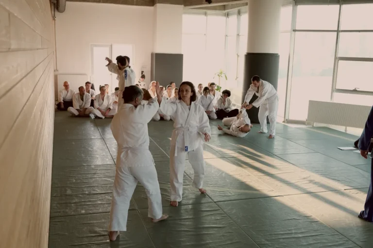 Aikido kuşak sınavı, gün ışığı alan panoramik pencereli dojo, Katsu Ankara, Çayyolu