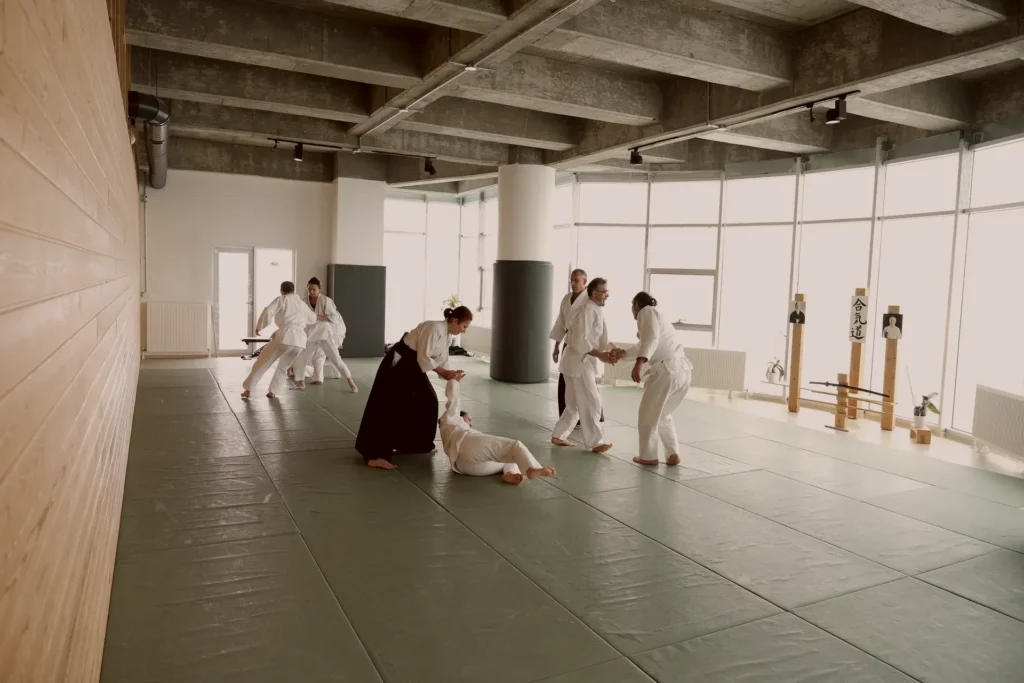 Katsu Ankara dojosunun geniş açı görünümü, tatami ve pencereler, Katsu Ankara, Çayyolu