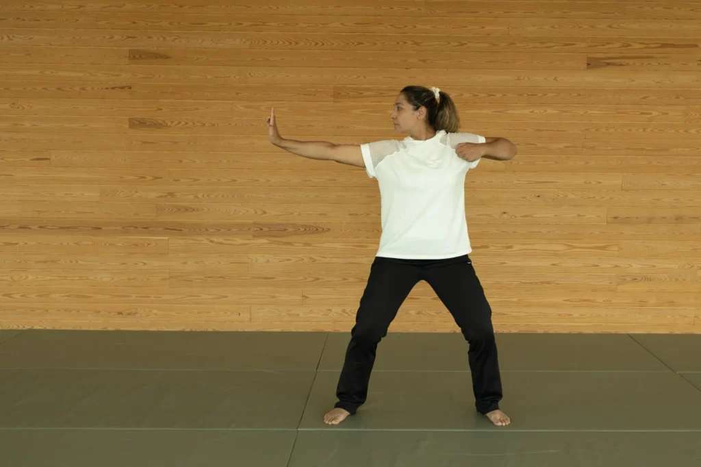 Qigong ve Tai Chi dersi, Uzm. Fzt. Başak Acar, Katsu Ankara, Çayyolu.