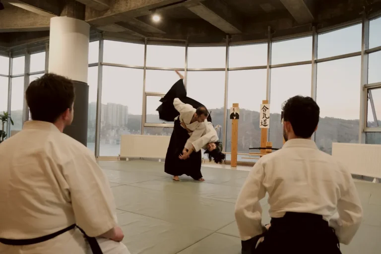 Akşam dersinde ikili aikido tekniği, Katsu Ankara, Çayyolu.